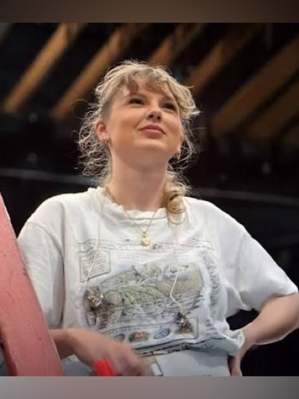 NWOT Taylor Swift Monterey Bay Aquarium Sea Otter Shirt